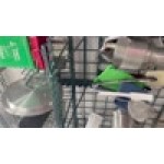 Metro TDR48K3 Metroseal Green Grid Mounted Tray Drying Rack