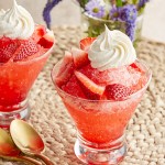 Carnival King IBS250 Block Ice Shaver - 120V, 1/3 HP Carnival King IBS250 Block Ice Shaver - 120V, 1/3 HP