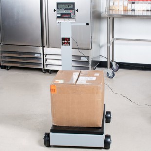 Cardinal Detecto 5852F-185 500 lb. Portable Digital Floor Scale with 185 Indicator and Tower Display, Legal for Trade Cardinal Detecto 5852F-185 500 lb. Portable Digital Floor Scale with 185 Indicator and Tower Display, Legal for Trade