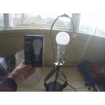 Satco S29810 11 Watt (75 Watt Equivalent) Frosted Warm White Multi-Directional LED Light Bulb - 120V (A19) Satco S29810 11 Watt (75 Watt Equivalent) Frosted Warm White Multi-Directional LED Light Bulb - 120V (A19)
