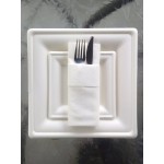 EcoChoice 8