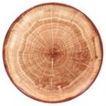 RAK Porcelain Woodart 11 7/16