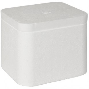 Insulated Foam Cooler 5 1/2