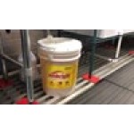 Noble Sunbright 5 gallon / 640 oz. Concentrated Liquid Dish Soap