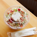Eco-Products EP-SB48 48 oz. Clear Compostable Plastic Salad Bowl with Lid - 150/Case