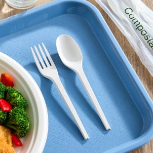 EcoChoice Wrapped Heavy Weight Compostable 6 1/2
