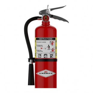 Amerex FE B424 5 lb. Dry Chemical ABC Fire Extinguisher with Wall Bracket 15267 - UL Rating 2A:10B:C Amerex FE B424 5 lb. Dry Chemical ABC Fire Extinguisher with Wall Bracket 15267 - UL Rating 2A:10B:C