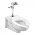American Standard Afwall Millennium FloWise 3351101.020 Vitreous China Wall-Mount Elongated Flushometer Toilet with EverClean - 1.1 to 1.6 GPF American Standard Afwall Millennium FloWise 3351101.020 Vitreous China Wall-Mount Elongated Flushometer Toilet with EverClean - 1.1 to 1.6 GPF