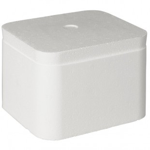 Insulated Foam Cooler 5 1/2