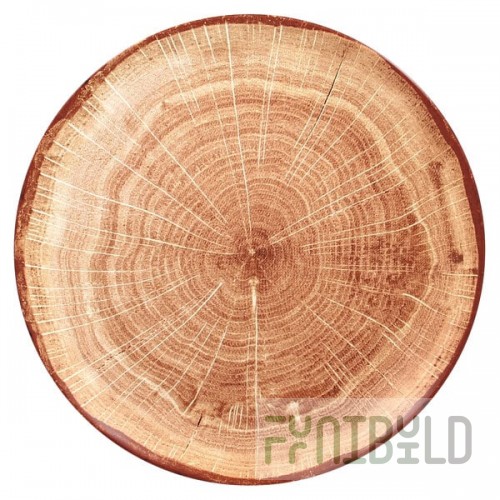 RAK Porcelain Woodart 10 5/8