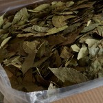 Regal Bulk Bay Leaves - 10 lb. Regal Bulk Bay Leaves - 10 lb.