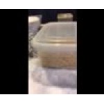 20 lb. Rotini Pasta 20 lb. Rotini Pasta