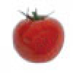 Edlund ETL316 Laser Tomato Slicer - 3/16