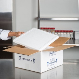 Polar Tech Thermo Chill Insulated Shipping Box with Foam Container 12