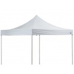 Backyard Pro Courtyard Series 10' x 10' White Straight Leg Regular-Duty Steel Instant Pop-Up Canopy Tent