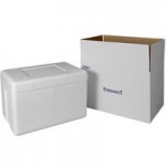 Insulated Foam Cooler 19 1/2