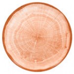 RAK Porcelain Woodart 10 5/8
