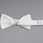 Henry Segal White 2 Henry Segal White 2