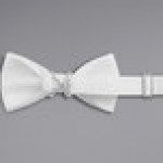 Henry Segal White 2 Henry Segal White 2