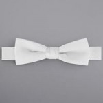 Henry Segal White 2 Henry Segal White 2