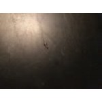 Waring 031117 Screw for Countertop Ranges Waring 031117 Screw for Countertop Ranges