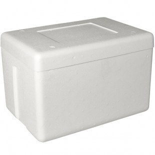 Insulated Foam Cooler 19 1/2