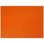 H. Risch, Inc. PLACEMATDXOCT-RIOORANGE Rio 16