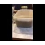 20 lb. Shell Pasta