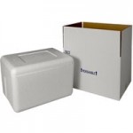 Insulated Foam Cooler 18 Insulated Foam Cooler 18