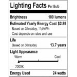 24' LED String Lights with (12) ST19 Bulbs - 120V, 24W, 2200K