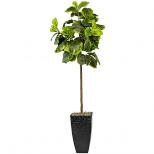 LCG Sales 5' Artificial Fig Tree in Black Metal Square Fluted Planter LCG Sales 5' Artificial Fig Tree in Black Metal Square Fluted Planter