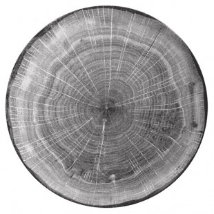 RAK Porcelain Woodart 10 5/8
