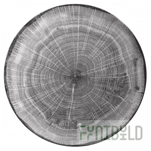 RAK Porcelain Woodart 10 5/8