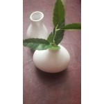 Acopa 3 1/4