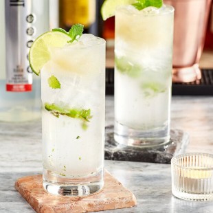 SHOTT Wild Mint Concentrated Flavoring Syrup 1 Liter SHOTT Wild Mint Concentrated Flavoring Syrup 1 Liter