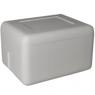 Insulated Foam Cooler 16 1/4