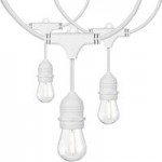 24' LED String Lights with (12) G25 Bulbs - 120V, 24W, 2200K