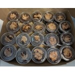 Choice 8 / 12 oz. Clear Round Dome Frozen Yogurt Lid With No Hole - 1,000/Case