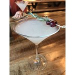 Acopa 9.25 oz. Cocktail / Martini Glass - Sample