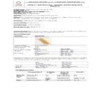 Lotus Foods Organic Brown Udon Rice Noodles 8 oz. - 8/Case Lotus Foods Organic Brown Udon Rice Noodles 8 oz. - 8/Case