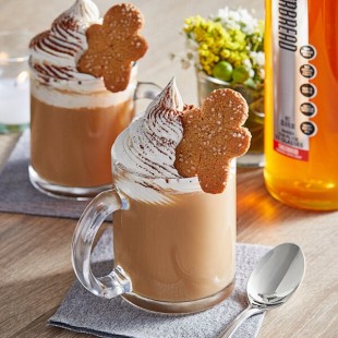 SHOTT Gingerbread Concentrated Flavoring Syrup 1 Liter SHOTT Gingerbread Concentrated Flavoring Syrup 1 Liter