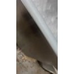 Choice Stainless Steel Filling Hanger for 5 Gallon Ice Buckets Choice Stainless Steel Filling Hanger for 5 Gallon Ice Buckets