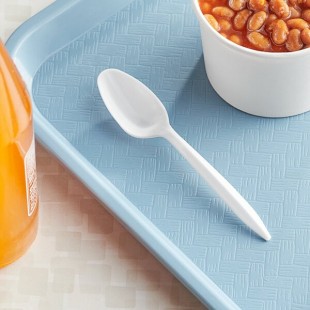Choice Medium Weight White Polypropylene Plastic Teaspoon - 2,000/Case