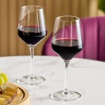 Acopa Silhouette 13.5 oz. Wine Glass - Sample Acopa Silhouette 13.5 oz. Wine Glass - Sample