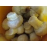 Marinated Mushrooms 1 Gallon - 4/Case Marinated Mushrooms 1 Gallon - 4/Case