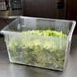 Rubbermaid® FG330100CLR Clear Polycarbonate Food Storage Box - 26 Rubbermaid® FG330100CLR Clear Polycarbonate Food Storage Box - 26