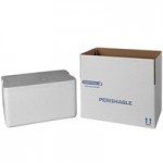 Insulated Foam Cooler 14 5/8
