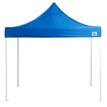 Backyard Pro Courtyard Series 10' x 10' Blue Straight Leg Regular-Duty Steel Instant Pop-Up Canopy Tent