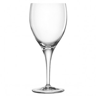 Luigi Bormioli Michelangelo from BauscherHepp 11.5 oz. Burgundy Glass - 24/Case