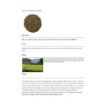 Davidson's Organic Mao Jian Jasmine Loose Leaf Tea 1 lb. Davidson's Organic Mao Jian Jasmine Loose Leaf Tea 1 lb.